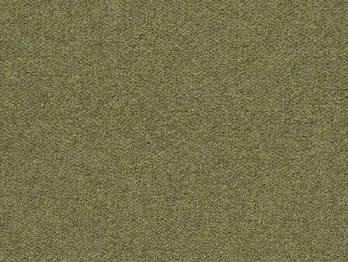Tessera Chroma - 3613 pasture